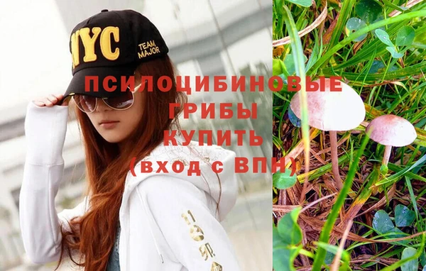 дистиллят марихуана Пересвет
