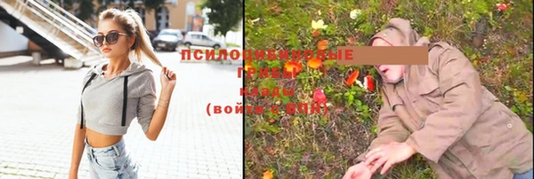 МДПВ Переславль-Залесский