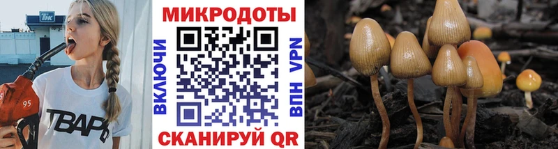 Псилоцибиновые грибы Cubensis  Купить где  Иннополис 